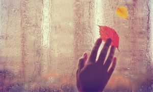 Eine Hand berührt eine Fensterscheibe, die von der anderen Seite verregnet ist. Drei Fingerspitzen liegen auf einem roten Blatt. Etwas über dem roten Blatt ist ein kleineres gelbes Blatt.