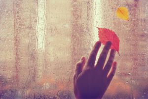 Eine Hand berührt eine Fensterscheibe, die von der anderen Seite verregnet ist. Drei Fingerspitzen liegen auf einem roten Blatt. Etwas über dem roten Blatt ist ein kleineres gelbes Blatt.